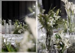 -明典婚礼策划·婚车租赁·婚纱摄影