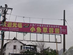 -小鱼草莓采摘园农家乐·小鱼餐厅