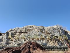 -北京西山国家森林公园