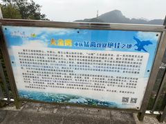 -大金鹰园