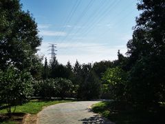 -永定河休闲森林公园