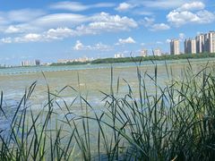 -金银湖国家城市湿地公园