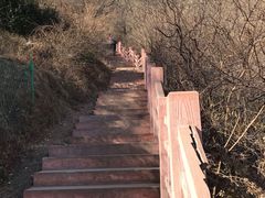 -香山公园