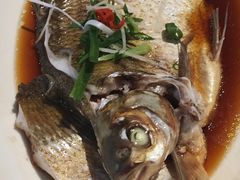-大中华酒楼·主席武昌鱼·武汉美食地标(江汉路步行街店)