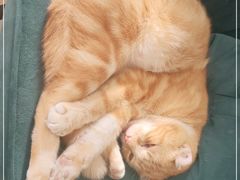 -平行世界·猫咖(首经贸店)