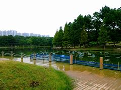 -白塘生态植物园