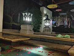 -苏州湾·王焰温泉
