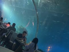 -海棠湾洲际-涛·海底餐厅·美人鱼·自助餐·海底隧道