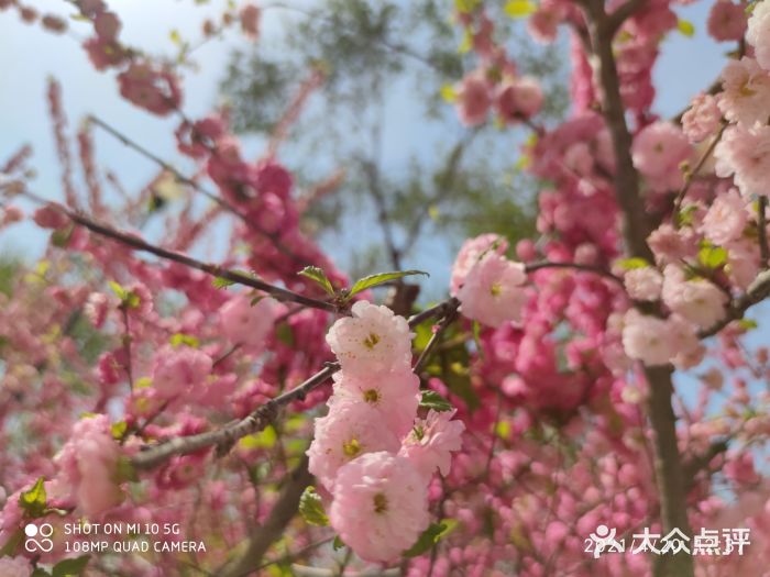 南湖公园图片
