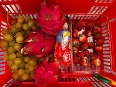 -海堤葡萄园中小学生研学基地