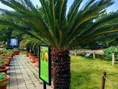 -国家植物园南园