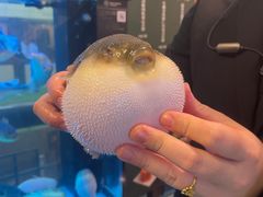 -肆月河豚·淮扬菜·湘菜(华天店)
