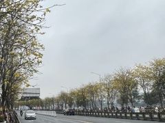-洲头咀公园