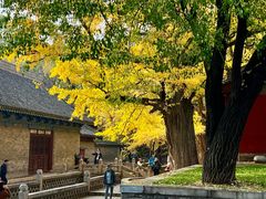 -晋祠公园