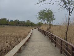 -绿堤公园