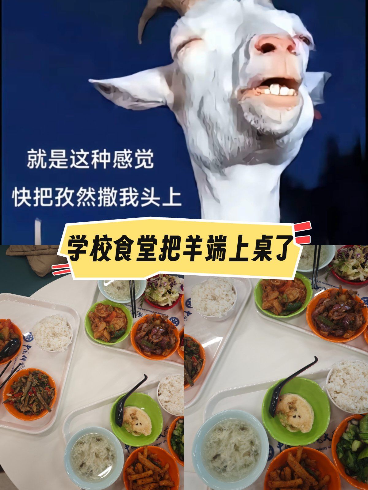 菜里面的带羊的真的原汁原味啊,羊杂特别膳,放在口里就是羊在口里奔跑