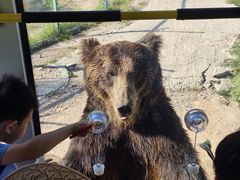 -鄂尔多斯野生动物园