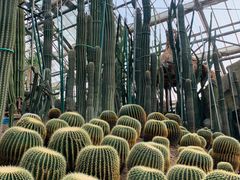 -南山植物园