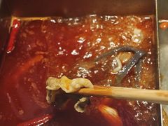 -海底捞火锅(奥森店)