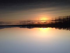 永定河休闲森林公园-永定河休闲森林公园