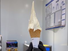 -野人先生现做冰淇淋(北京王府井东方新天地店)