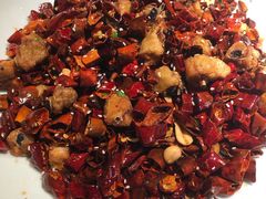 -雲蜀龙阁·金牌水煮鱼(方庄店)