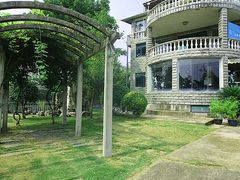 -鑫艺宠物美容培训学校