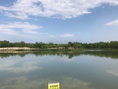 -东郊湿地公园