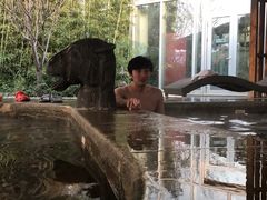 室外生肖池-中家鑫园温泉酒店鑫悦汤泉