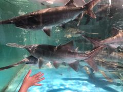 -漓江又一軒·广西菜·桂林米粉(梅林店)