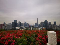 -莲花山公园