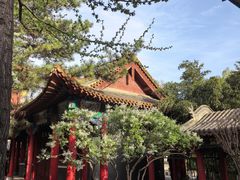 -碑林公园