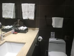 -和颐至尊酒店(上海徐家汇桂林公园地铁站店)