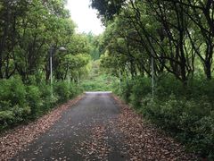 -美兰湖景区