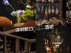 -villaa·别墅·融合菜西餐厅