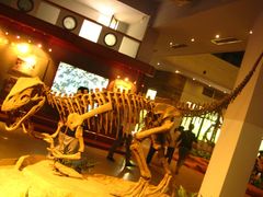 -自贡恐龙博物馆