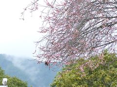 -呈坎景区