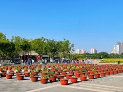 -莲花池公园