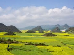 -牛街螺丝田
