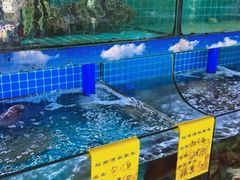 -坛南湾阿强农家乐.海鲜大排档老字号(福州地标美食店)