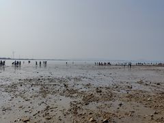 -仙人岛