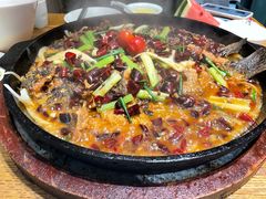 -老板恋上鱼(恒隆广场店)