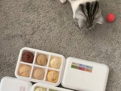 -Dip in Gelato(富民路店)
