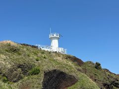 -涉地可支
