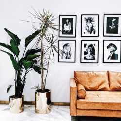 -S.HAIR SALON