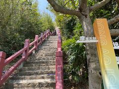 -东澳岛