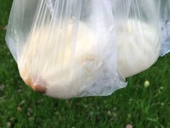 大肉包-同心楼(解放北路店)