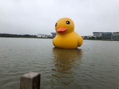 -琅岐红光湖公园