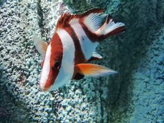 -福州罗源湾海洋世界旅游区