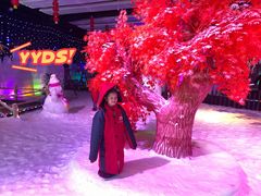 -武汉紫薇都市田园